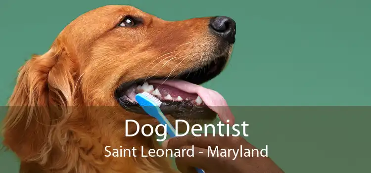 Dog Dentist Saint Leonard - Maryland