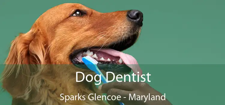 Dog Dentist Sparks Glencoe - Maryland