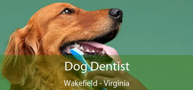 Dog Dentist Wakefield - Virginia