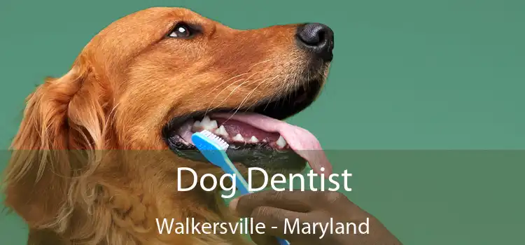 Dog Dentist Walkersville - Maryland