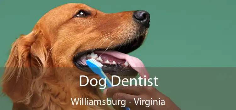 Dog Dentist Williamsburg - Virginia
