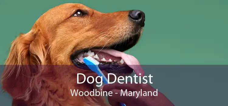 Dog Dentist Woodbine - Maryland