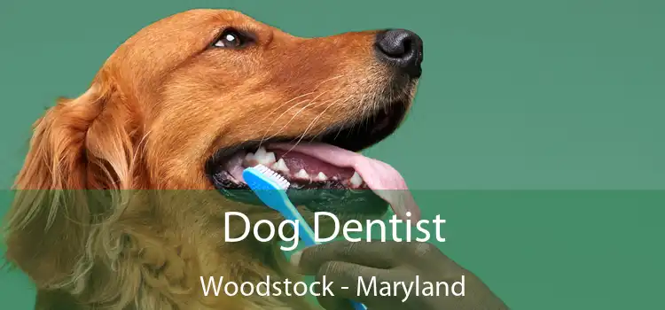Dog Dentist Woodstock - Maryland