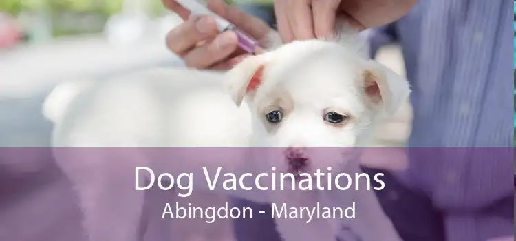 Dog Vaccinations Abingdon - Maryland