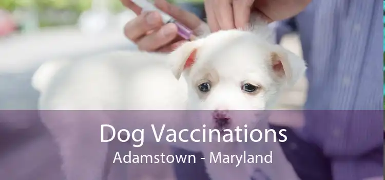 Dog Vaccinations Adamstown - Maryland