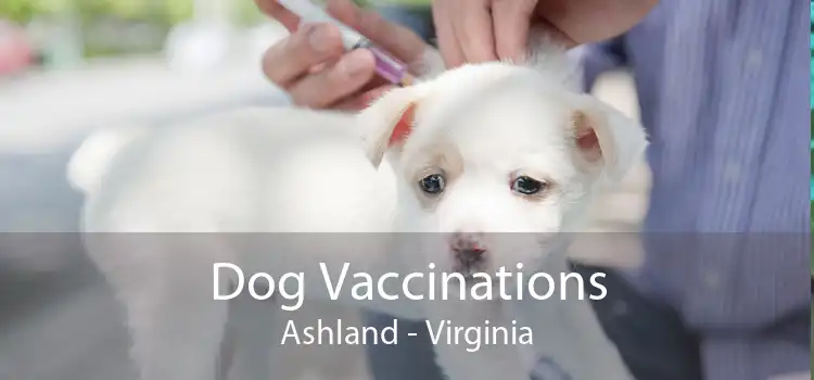 Dog Vaccinations Ashland - Virginia