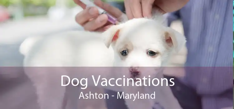 Dog Vaccinations Ashton - Maryland