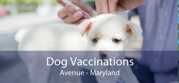 Dog Vaccinations Avenue - Maryland