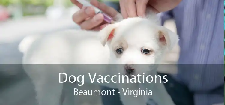 Dog Vaccinations Beaumont - Virginia