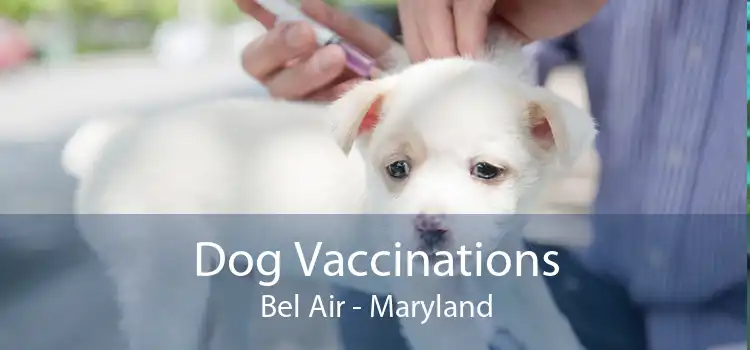 Dog Vaccinations Bel Air - Maryland