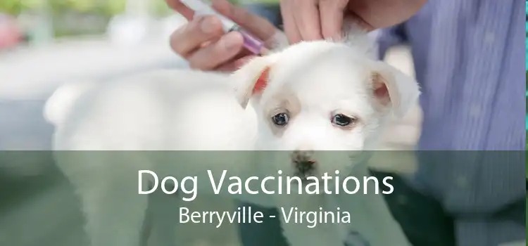 Dog Vaccinations Berryville - Virginia
