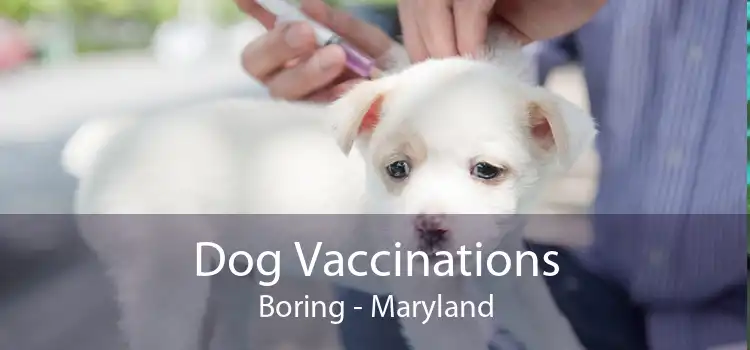 Dog Vaccinations Boring - Maryland