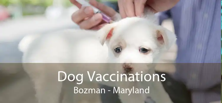 Dog Vaccinations Bozman - Maryland