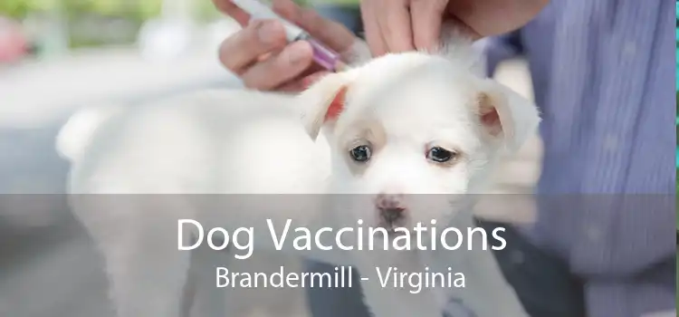 Dog Vaccinations Brandermill - Virginia