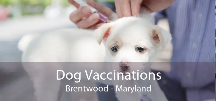 Dog Vaccinations Brentwood - Maryland