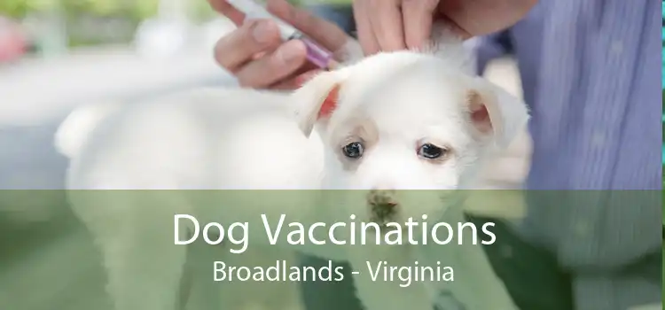 Dog Vaccinations Broadlands - Virginia