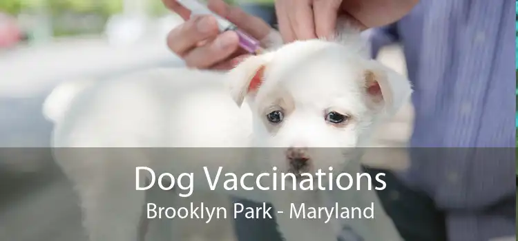 Dog Vaccinations Brooklyn Park - Maryland