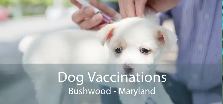 Dog Vaccinations Bushwood - Maryland