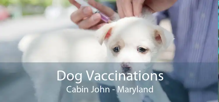 Dog Vaccinations Cabin John - Maryland
