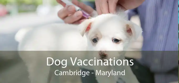 Dog Vaccinations Cambridge - Maryland