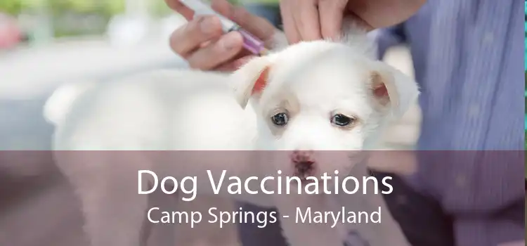 Dog Vaccinations Camp Springs - Maryland
