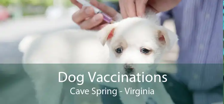 Dog Vaccinations Cave Spring - Virginia