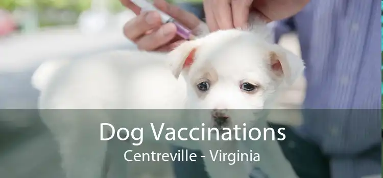 Dog Vaccinations Centreville - Virginia