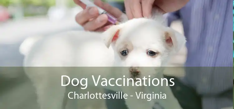 Dog Vaccinations Charlottesville - Virginia