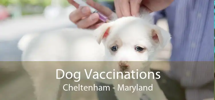 Dog Vaccinations Cheltenham - Maryland
