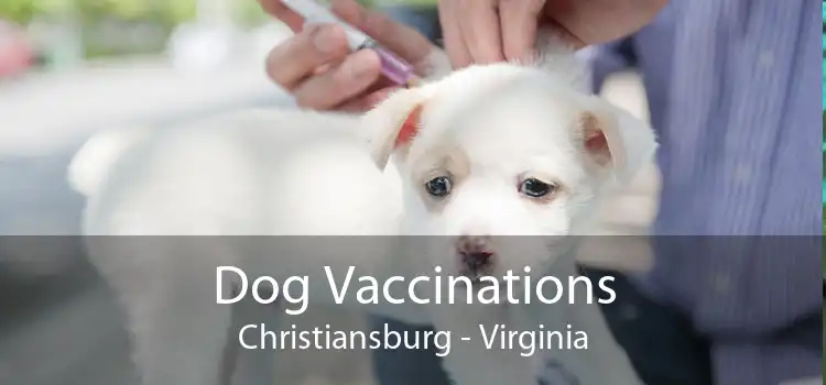 Dog Vaccinations Christiansburg - Virginia