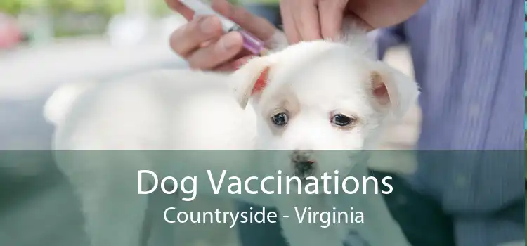 Dog Vaccinations Countryside - Virginia