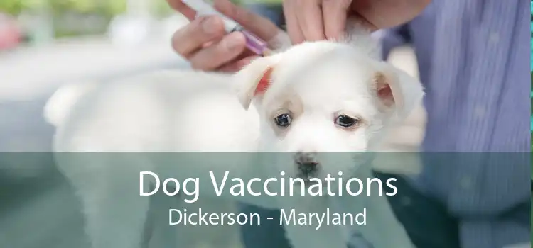 Dog Vaccinations Dickerson - Maryland