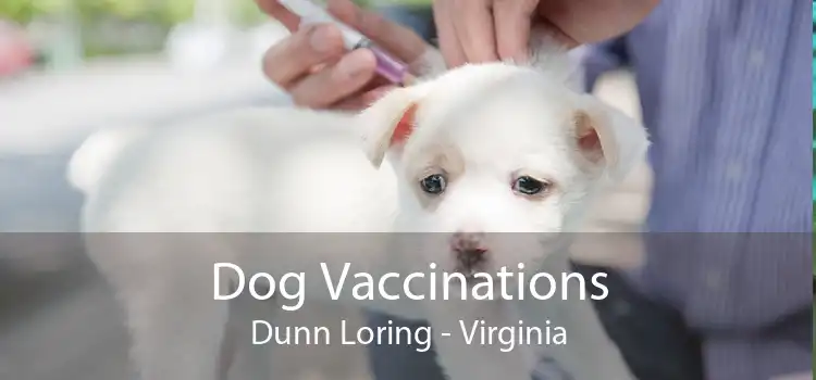 Dog Vaccinations Dunn Loring - Virginia