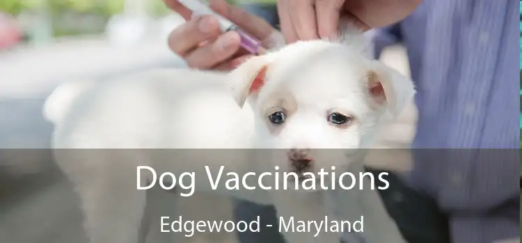 Dog Vaccinations Edgewood - Maryland