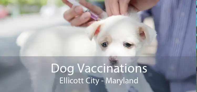 Dog Vaccinations Ellicott City - Maryland