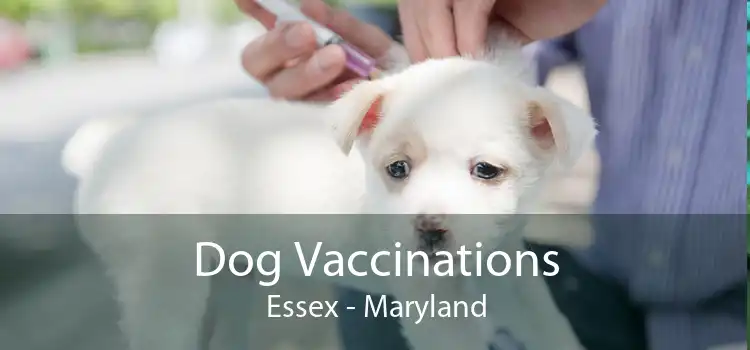 Dog Vaccinations Essex - Maryland
