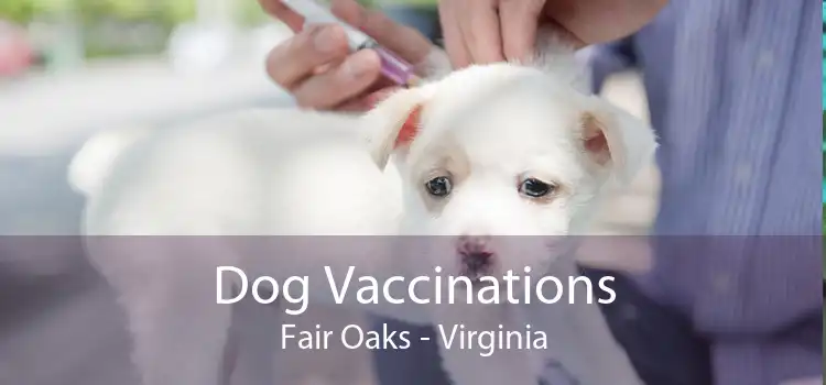 Dog Vaccinations Fair Oaks - Virginia