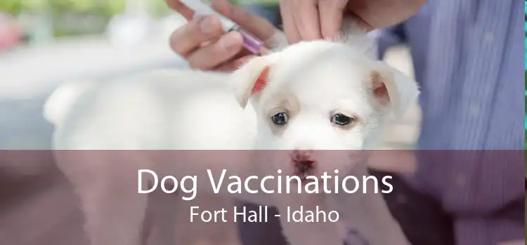 Dog Vaccinations Fort Hall - Idaho