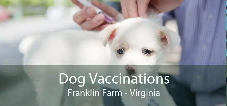 Dog Vaccinations Franklin Farm - Virginia