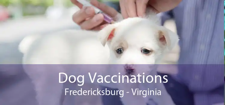 Dog Vaccinations Fredericksburg - Virginia