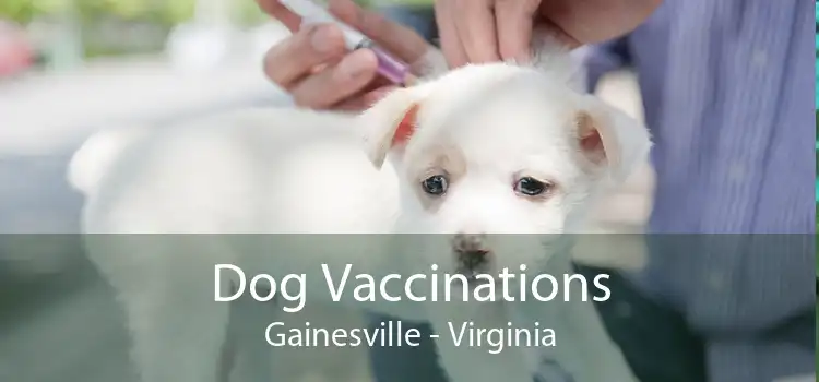 Dog Vaccinations Gainesville - Virginia