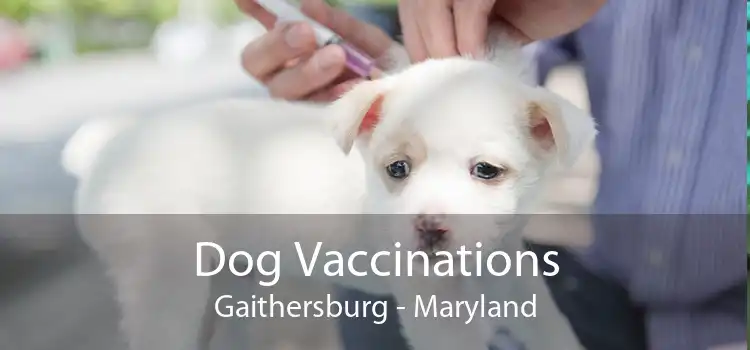 Dog Vaccinations Gaithersburg - Maryland