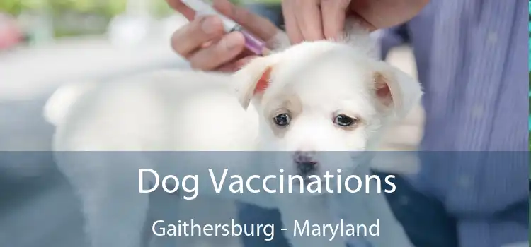 Dog Vaccinations Gaithersburg - Maryland