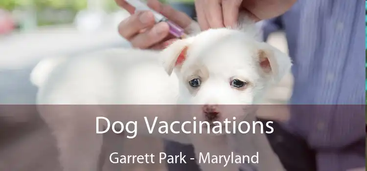 Dog Vaccinations Garrett Park - Maryland