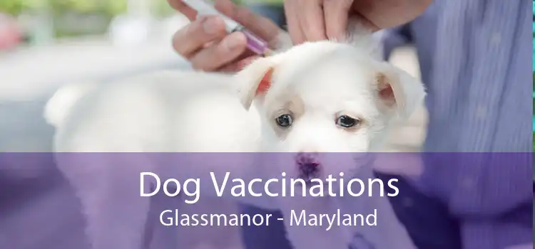 Dog Vaccinations Glassmanor - Maryland