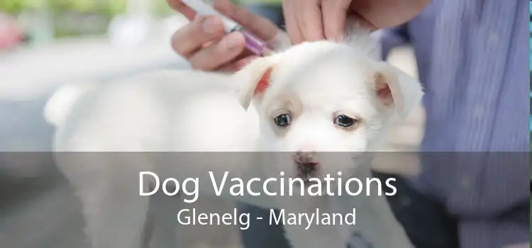 Dog Vaccinations Glenelg - Maryland