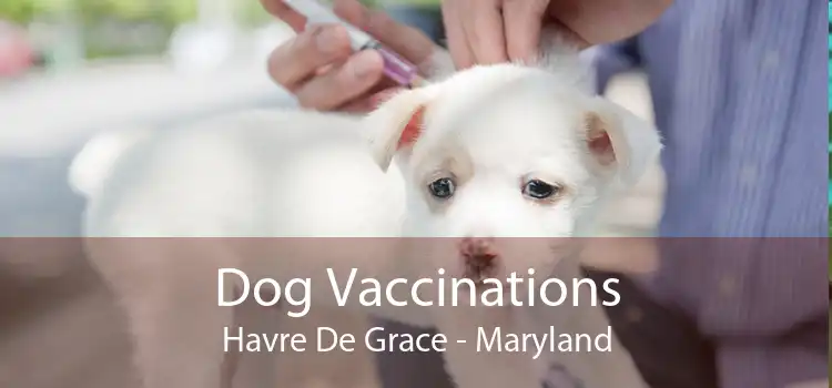 Dog Vaccinations Havre De Grace - Maryland
