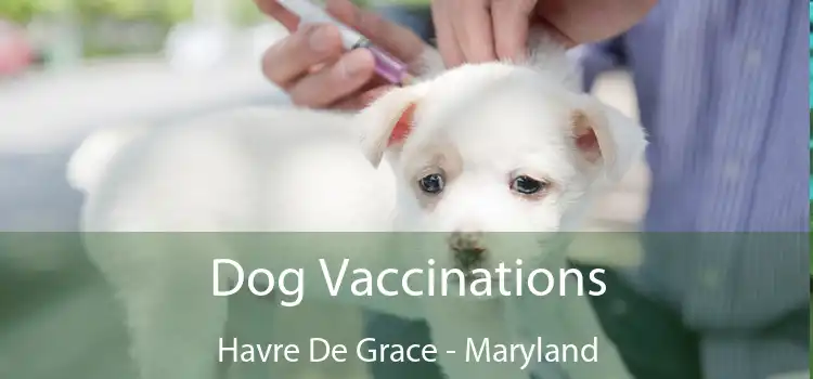 Dog Vaccinations Havre De Grace - Maryland