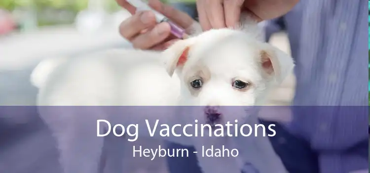 Dog Vaccinations Heyburn - Idaho