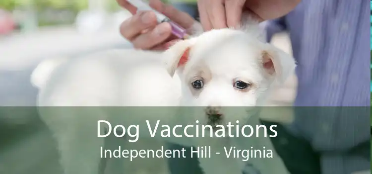 Dog Vaccinations Independent Hill - Virginia
